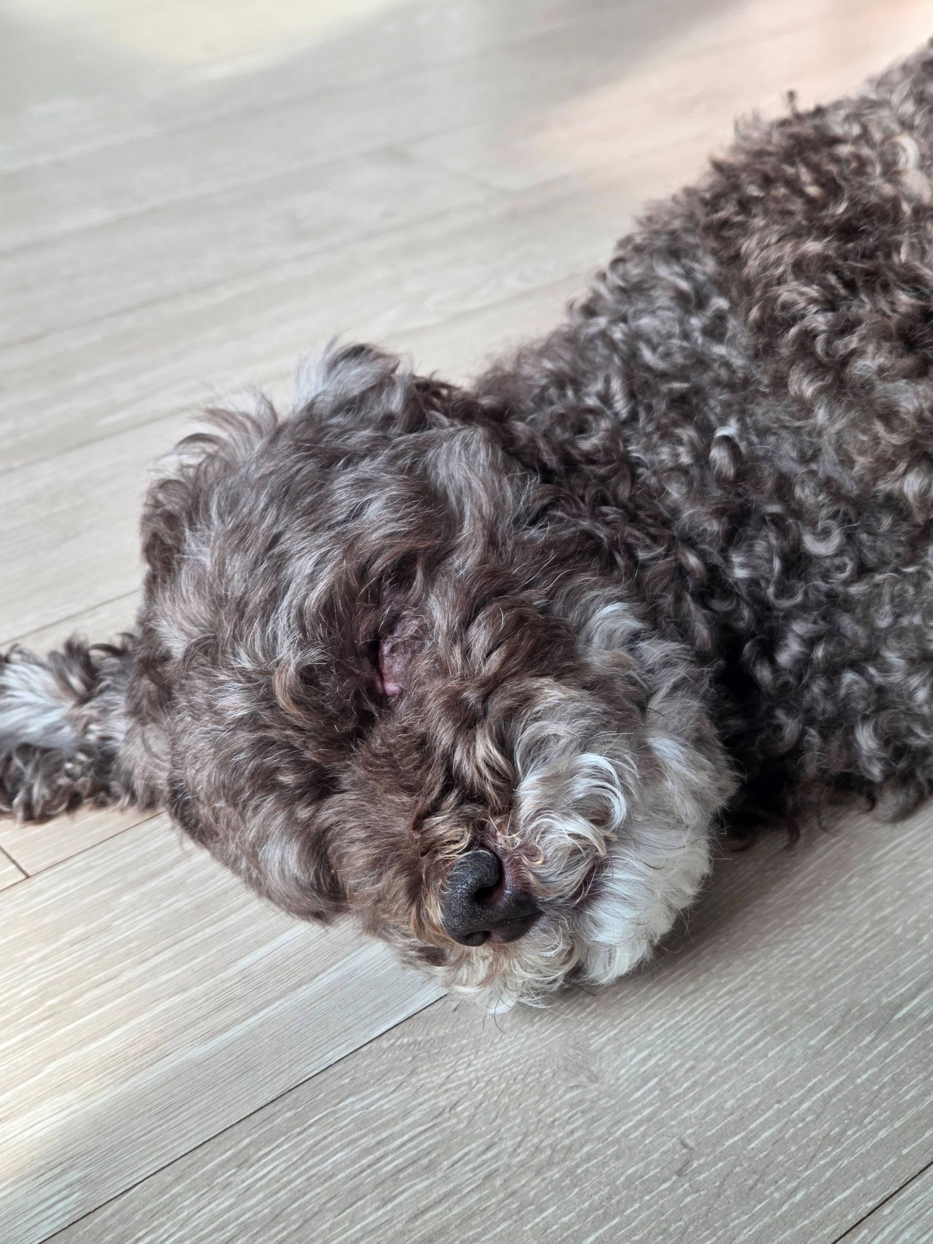 깃발 설치 사진